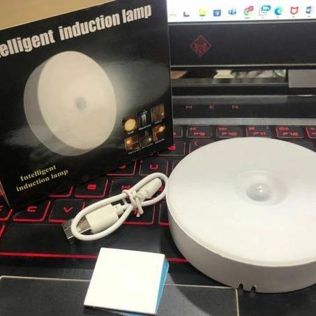 intelligent induction lamp