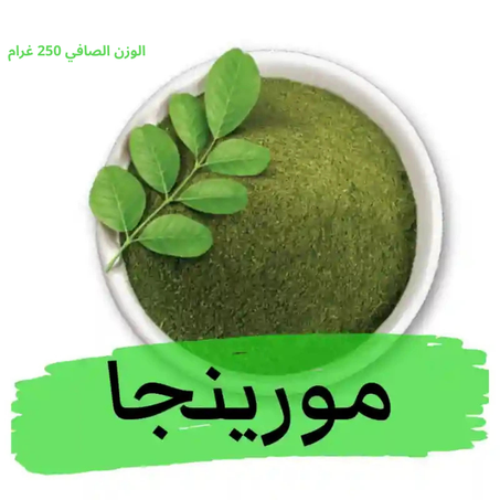 مورينجا اصلية مرحية