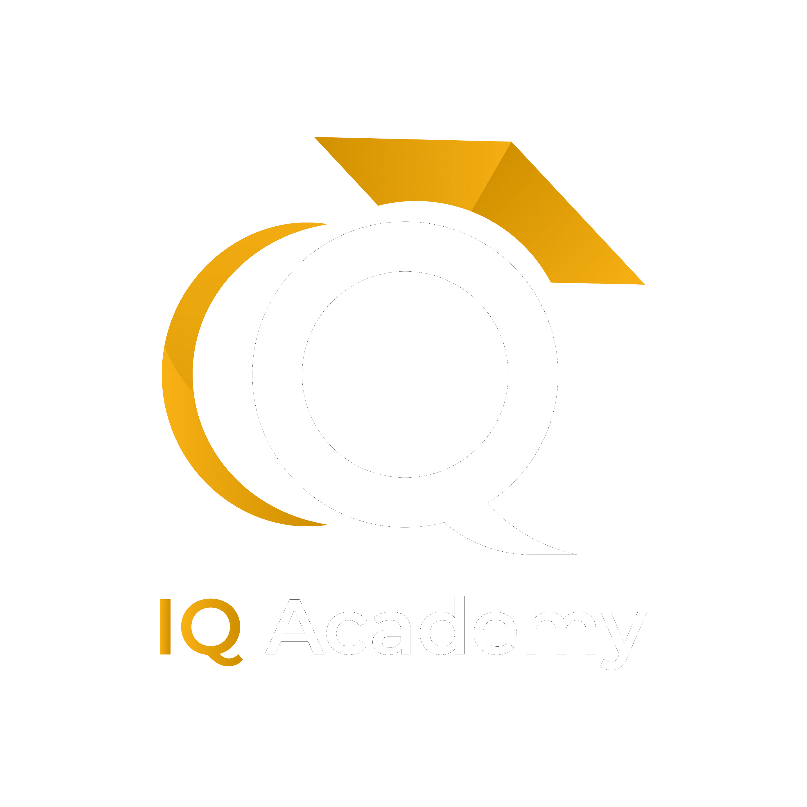 IQ Academy