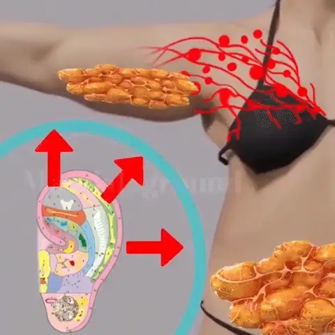 لحرق و إذابة دهون البطن