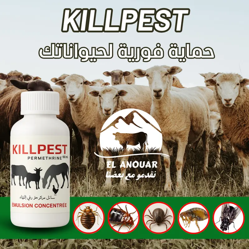 KILLPEST