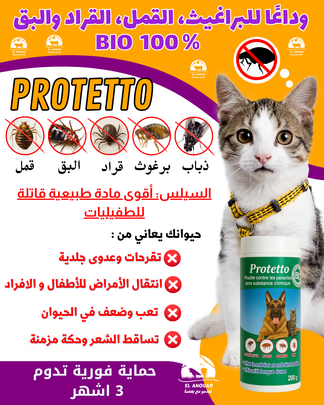 PROTETTO