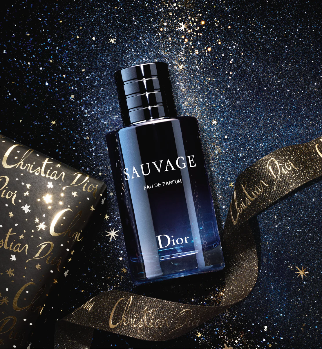 Style De Sauvage