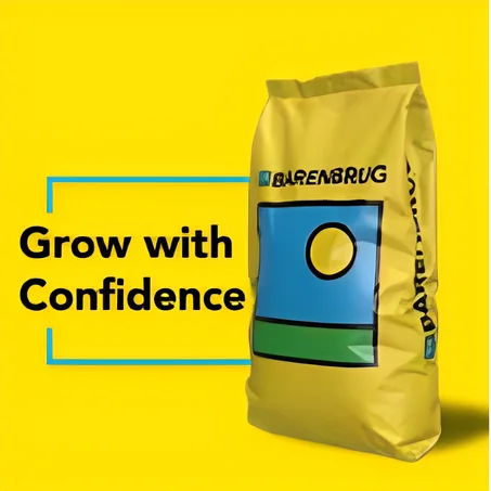 زريعة الفصة صنف استرالي 10kg  BARENBRUG Alfamaster 11