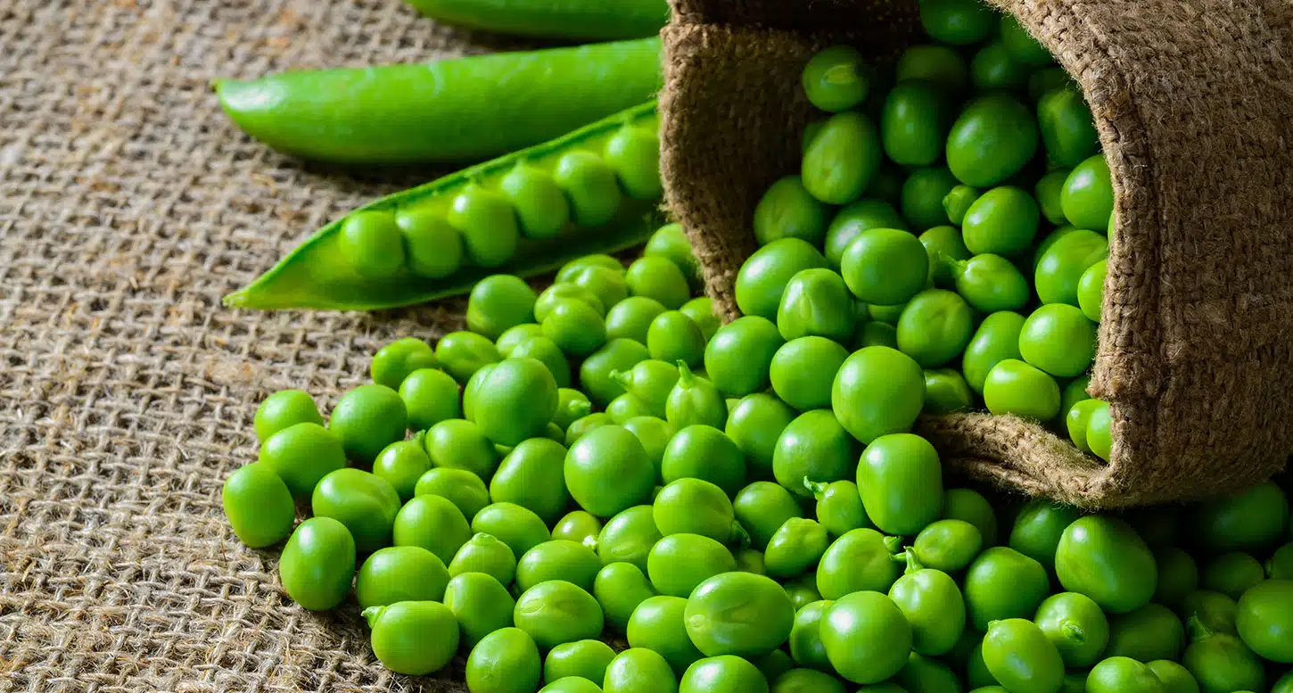 petits pois  (1Kg) جلبانة