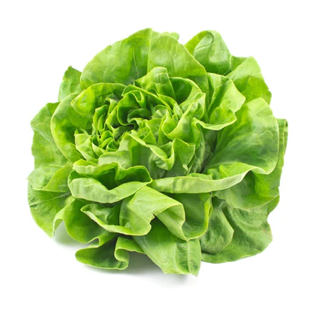 LAITUE SALADE (1pièce) الخس