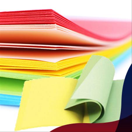 Chemise / Sous chemise