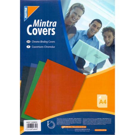 Paper Cover Eurochrome A4 Blanc Chromolux MINTRA