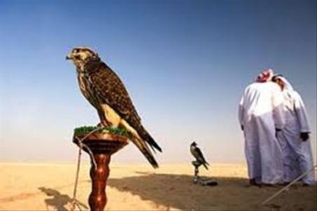 مستلزمات البر