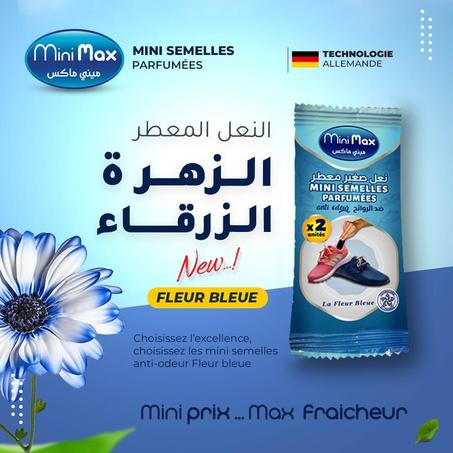 أكياس تعطير الأحذية