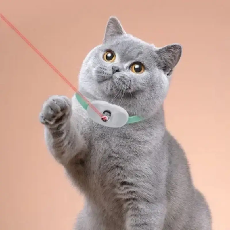 قلادة الليزر للقطط