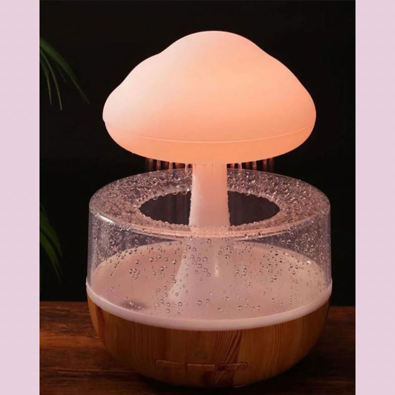 Rain Cloud Humidifier