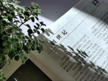 Chinese Language Programs