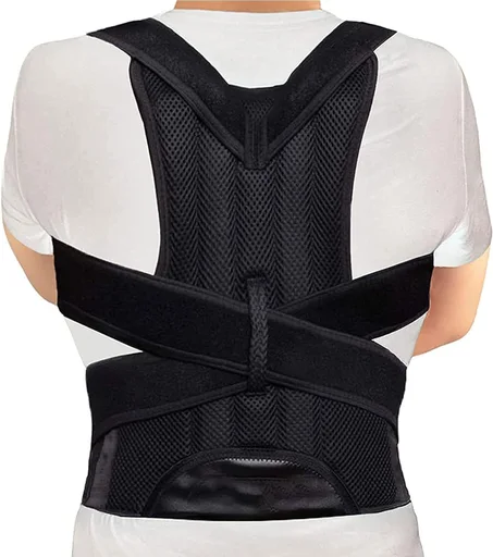 Back Support YC 7814