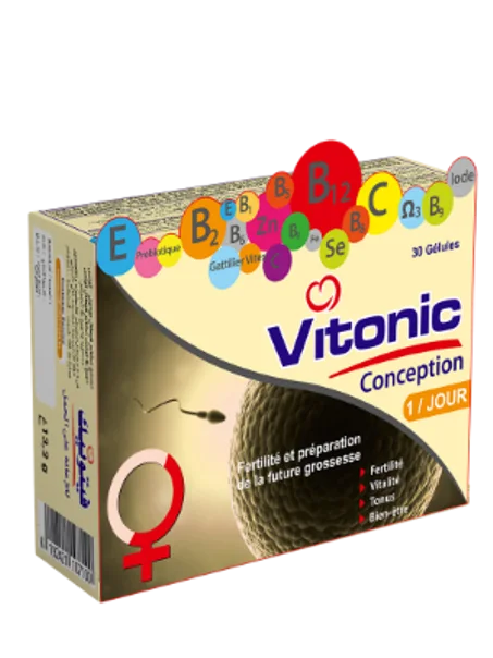 Vitonic Conception
