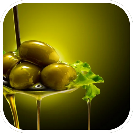 زيت الزيتون