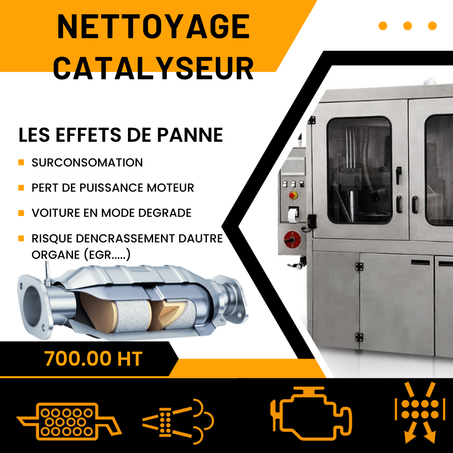 Nettoyage Catalyseur تنظيف الكتاليزور