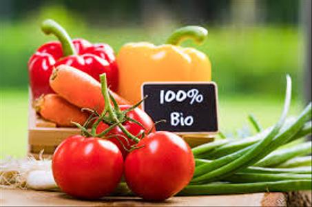Fruits et Légumes Bio