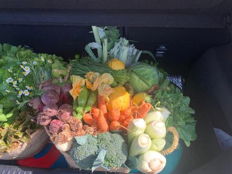 🧺 Panier Bio Fraîcheur