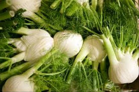 Fenouil bio (botte)