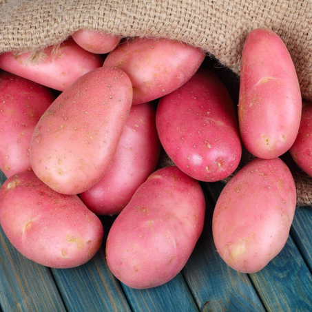 Pomme de terre (500g)