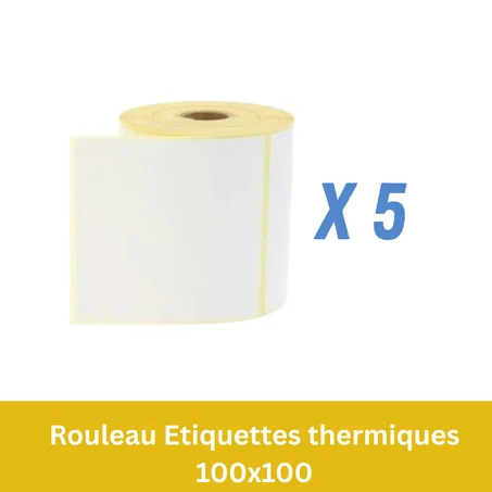 5 Rouleaux de 500 Étiquettes Thermique autocollant 100 x 100 mm