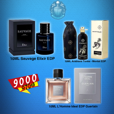 HAUT DE GAMME Designer 02