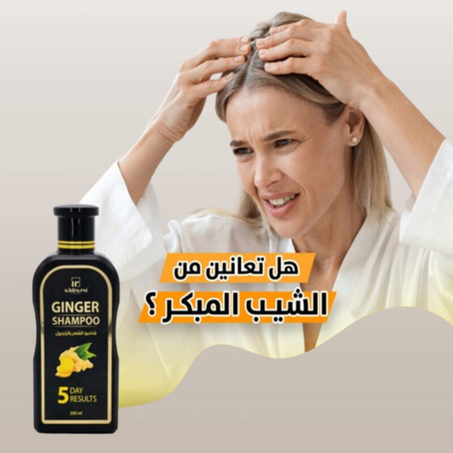 شامبو جينجر