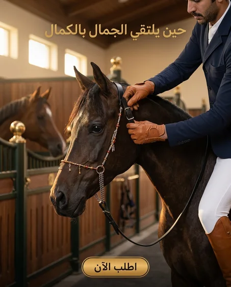 الجودة اللي كيقلب عليها كل فارس ✨