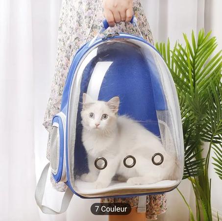 حقيبة القطط