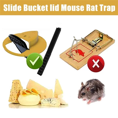 Piège à Souris