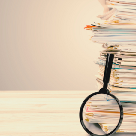 التصنيف الرئيسي