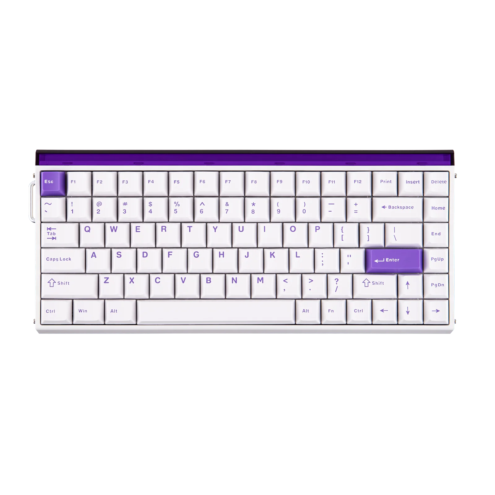 White Purple