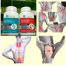 ARTHRO Longrich (Glucosamine et chondroïtine )