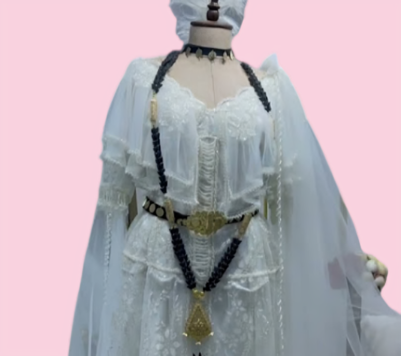 روبات نايلي