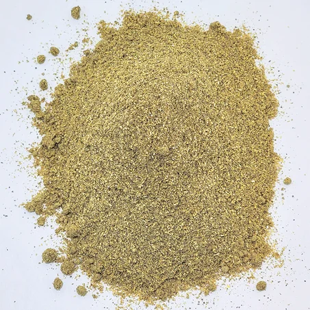 كسبر الجزائر مرحي صنع منزلي / Coriandre algérienne moulue