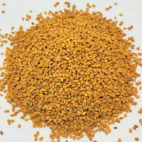 بذور الحلبة / graines de fenugrec