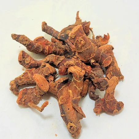 خولنجان / Galanga