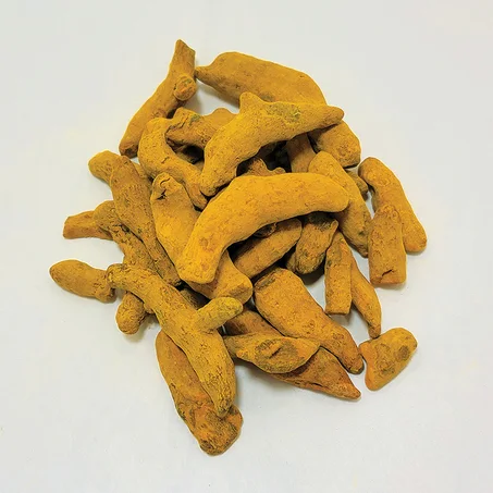 الكركم / Curcuma