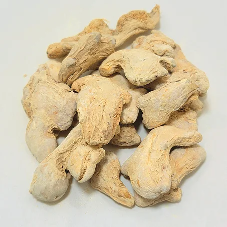 الزنجبيل / Gingembre