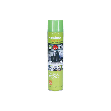 Mousse de Netoyage 650ml