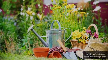كل ما يخص الحديقة