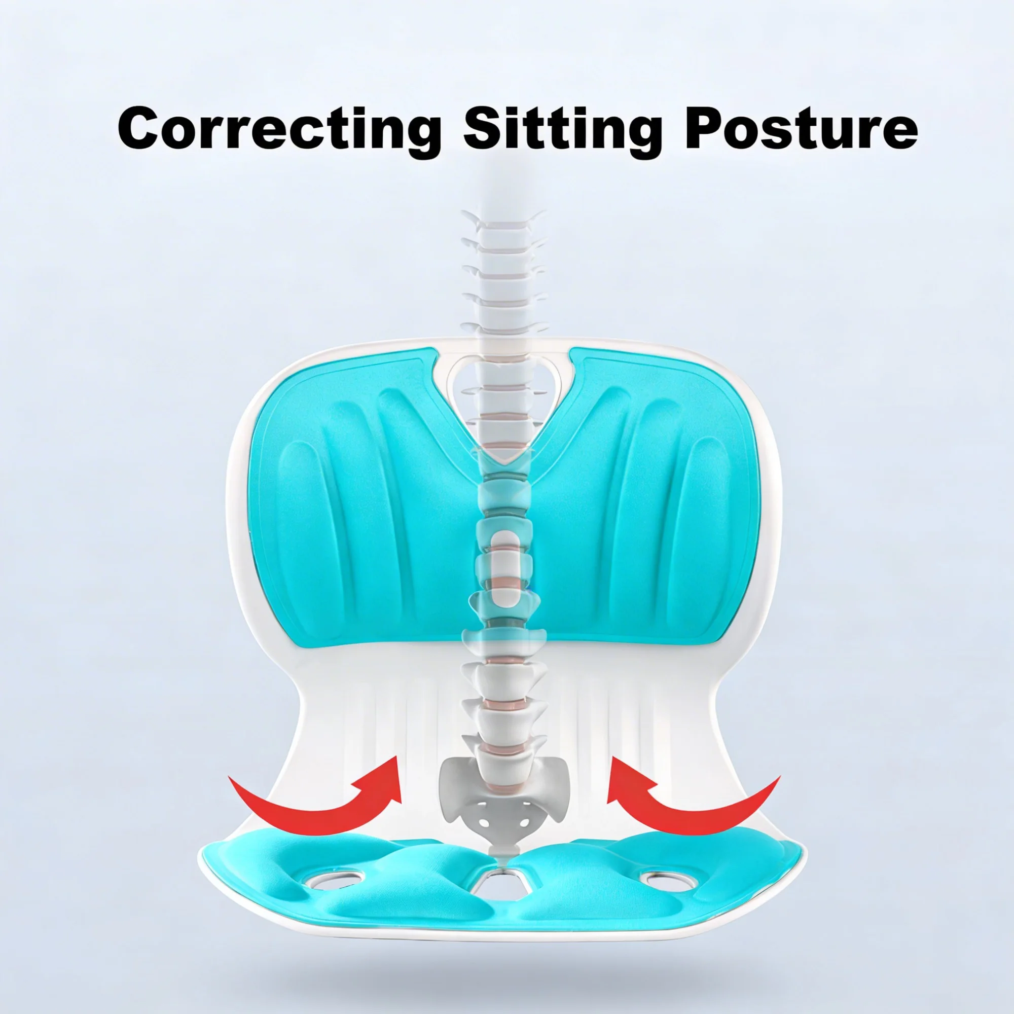 ⭐مسند ظهرمتنقل, لآلام فقرات الظهر