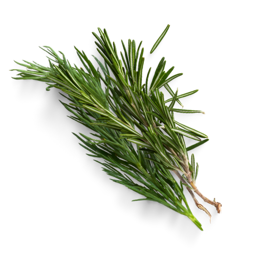 Romarin