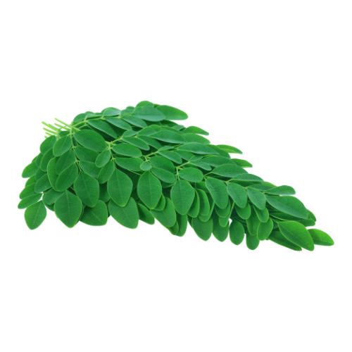 Moringa