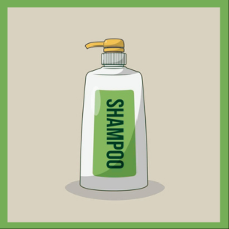 شامبو