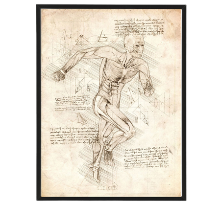 Runnin Body's Anatomical Drawing