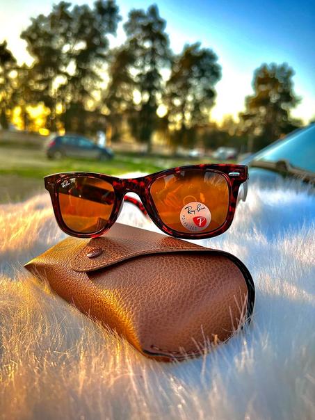 Ray-Ban Wayfarer