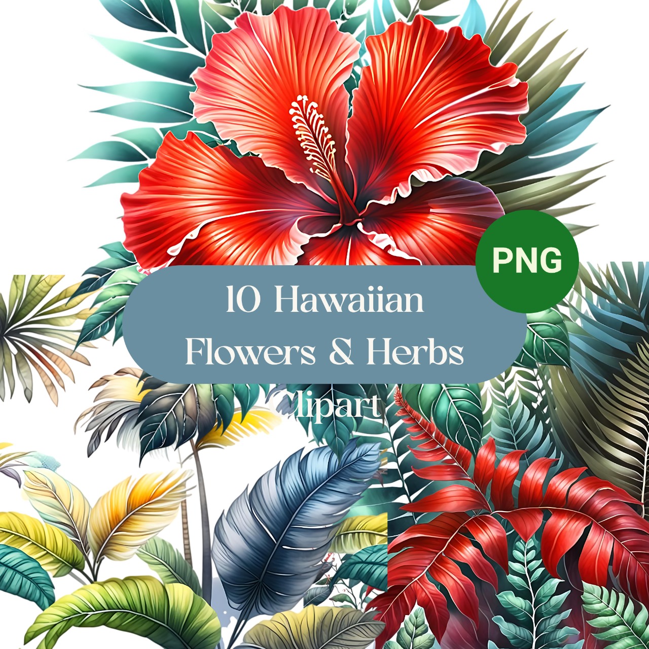 Hawaiian Flowers & Herbs Clipart Set