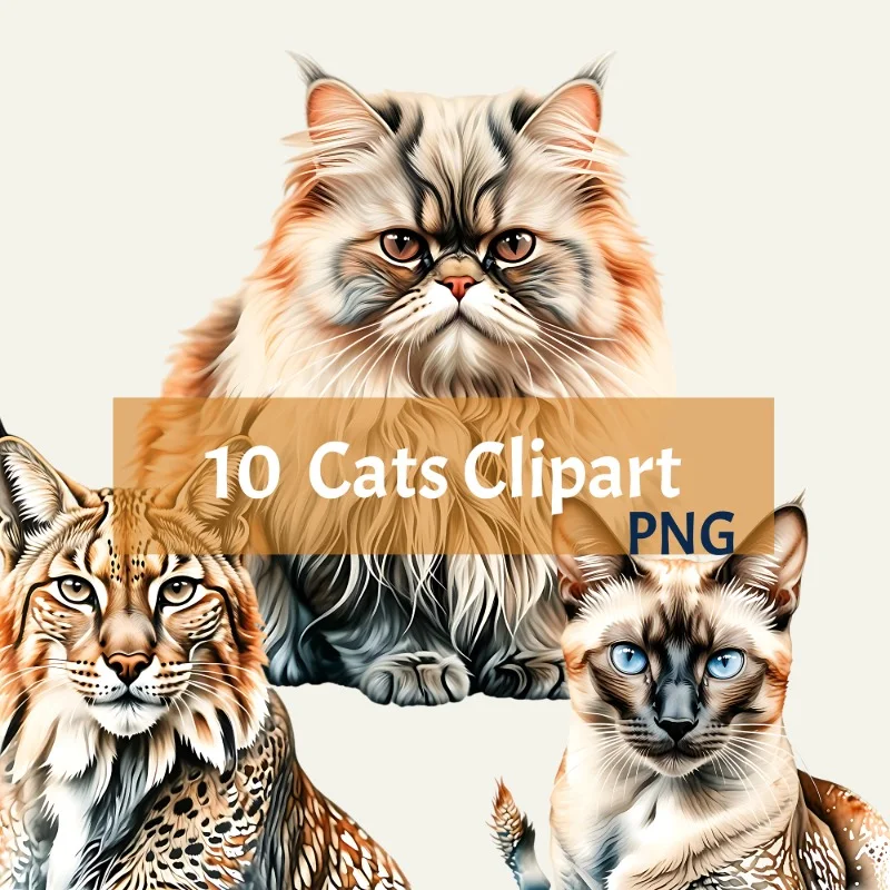 10 Cats Clipart
